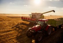 Industria agroalimentare: lavorazione del grano con mietitrebbia