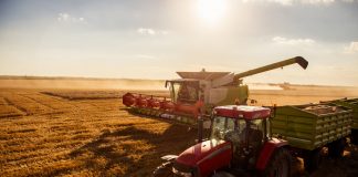 Industria agroalimentare: lavorazione del grano con mietitrebbia